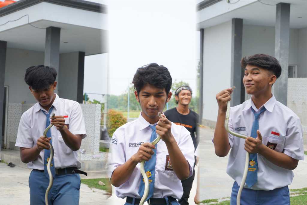 BELAJAR EVAKUASI GEMPA DAN PERTOLONGAN PERTAMA GIGITAN ULAR